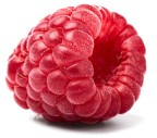 raspberry